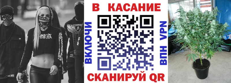 Как найти наркотики Зверево Канабис  МДМА  A PVP  Мефедрон  КОКАИН  мега зеркало  Галлюциногенные грибы 