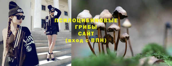 метадон Лагань