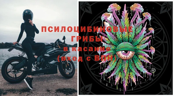трава Лабытнанги