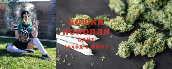метадон Лагань