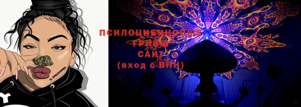 трава Лабытнанги