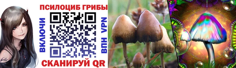 хочу   это телеграм  кракен сайт  Псилоцибиновые грибы GOLDEN TEACHER  Зверево 
